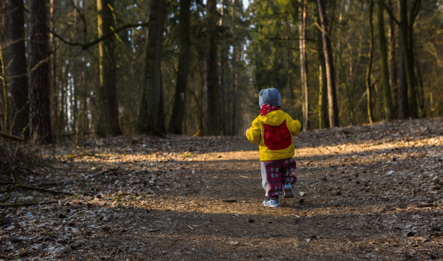 little boy walking in the forest