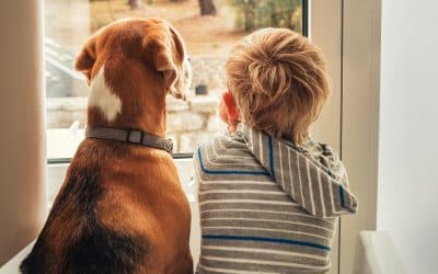 Helping Kids And Pets Deal With Moving House