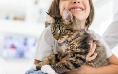 Does a Cat Make a Good Pet for Children?