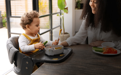 The Ultimate Guide to Choosing the Perfect Highchair